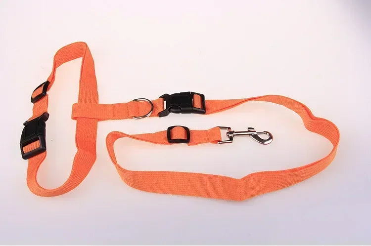 CN Guangdong Adjustable Belt Traction Pet Lead For Dogs