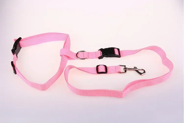 CN Guangdong Adjustable Belt Traction Pet Lead For Dogs