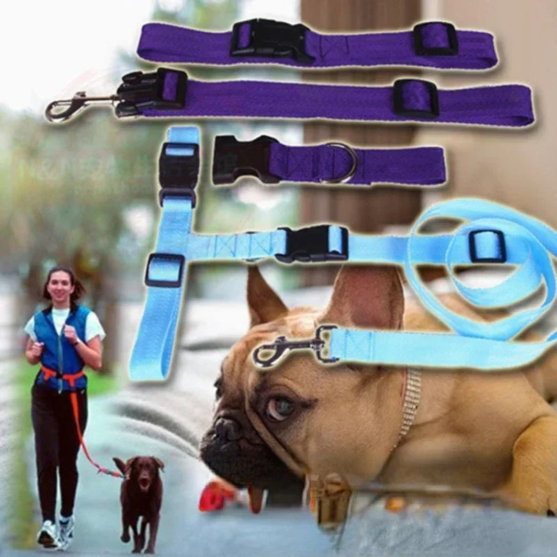 CN Guangdong Adjustable Belt Traction Pet Lead For Dogs