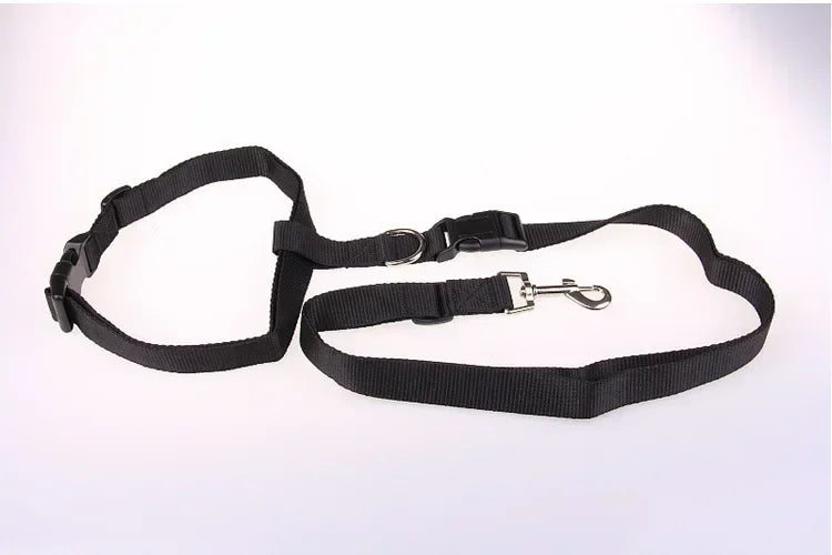 CN Guangdong Adjustable Belt Traction Pet Lead For Dogs