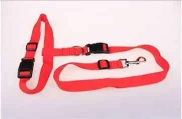 CN Guangdong Adjustable Belt Traction Pet Lead For Dogs
