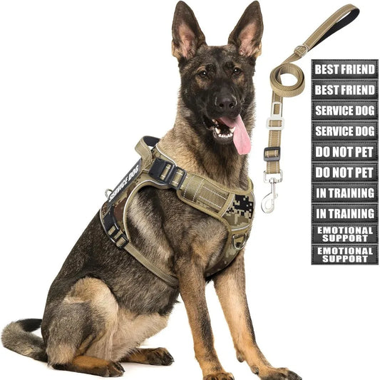 Hign Concerned Chemical Tactical Dog Harness And Leash