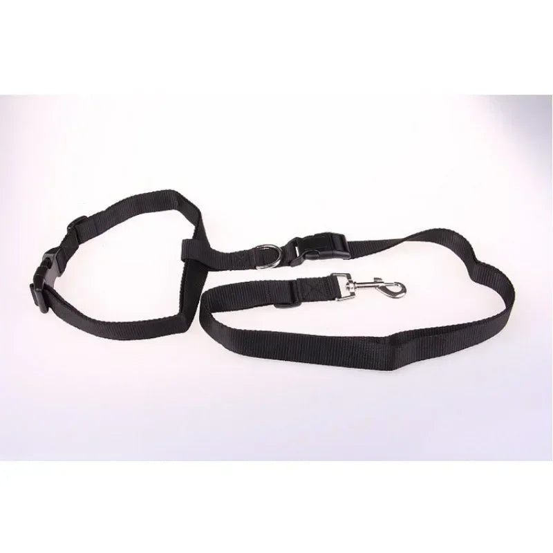 CN Guangdong Adjustable Belt Traction Pet Lead For Dogs
