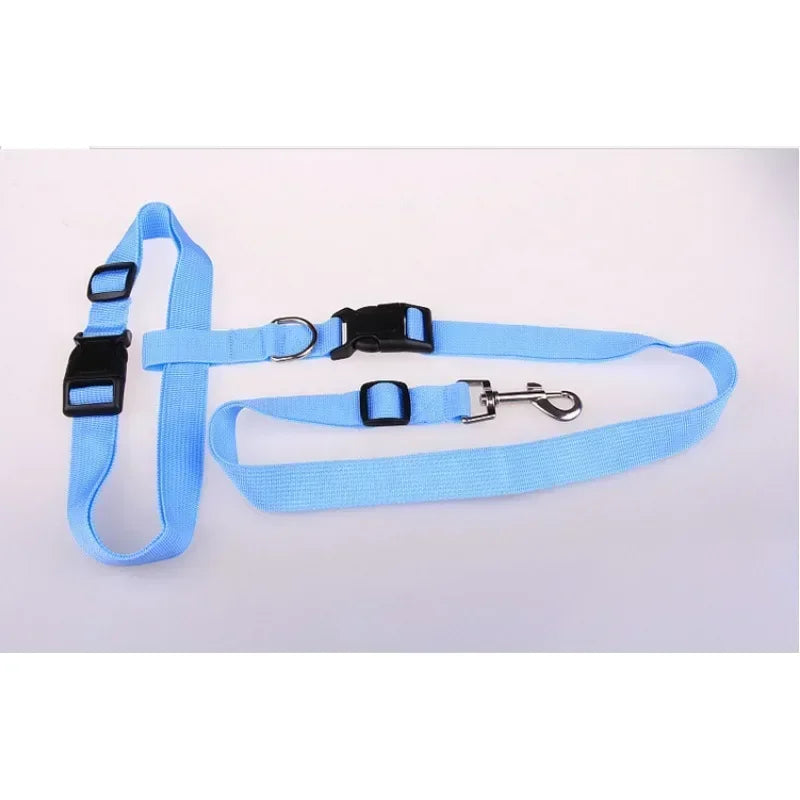CN Guangdong Adjustable Belt Traction Pet Lead For Dogs