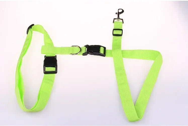 CN Guangdong Adjustable Belt Traction Pet Lead For Dogs