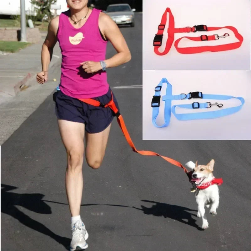 CN Guangdong Adjustable Belt Traction Pet Lead For Dogs